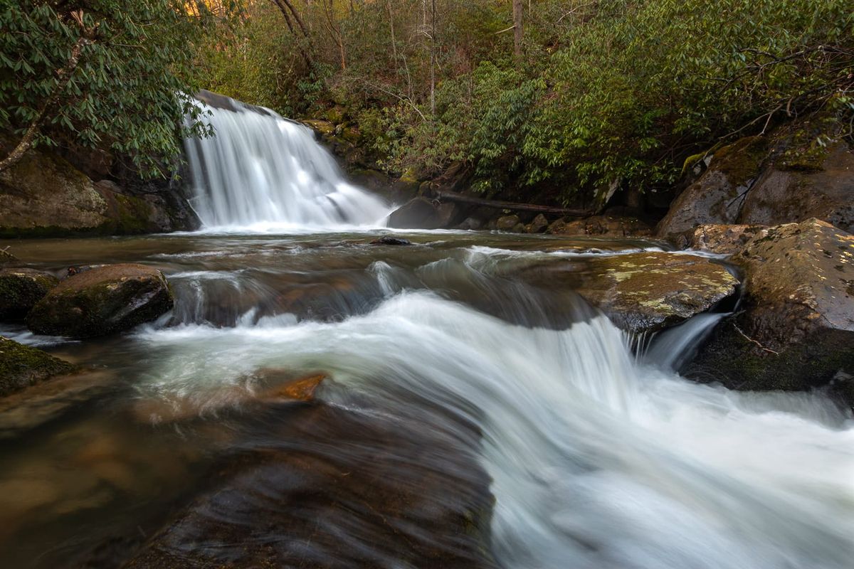 New Prints are Now Available