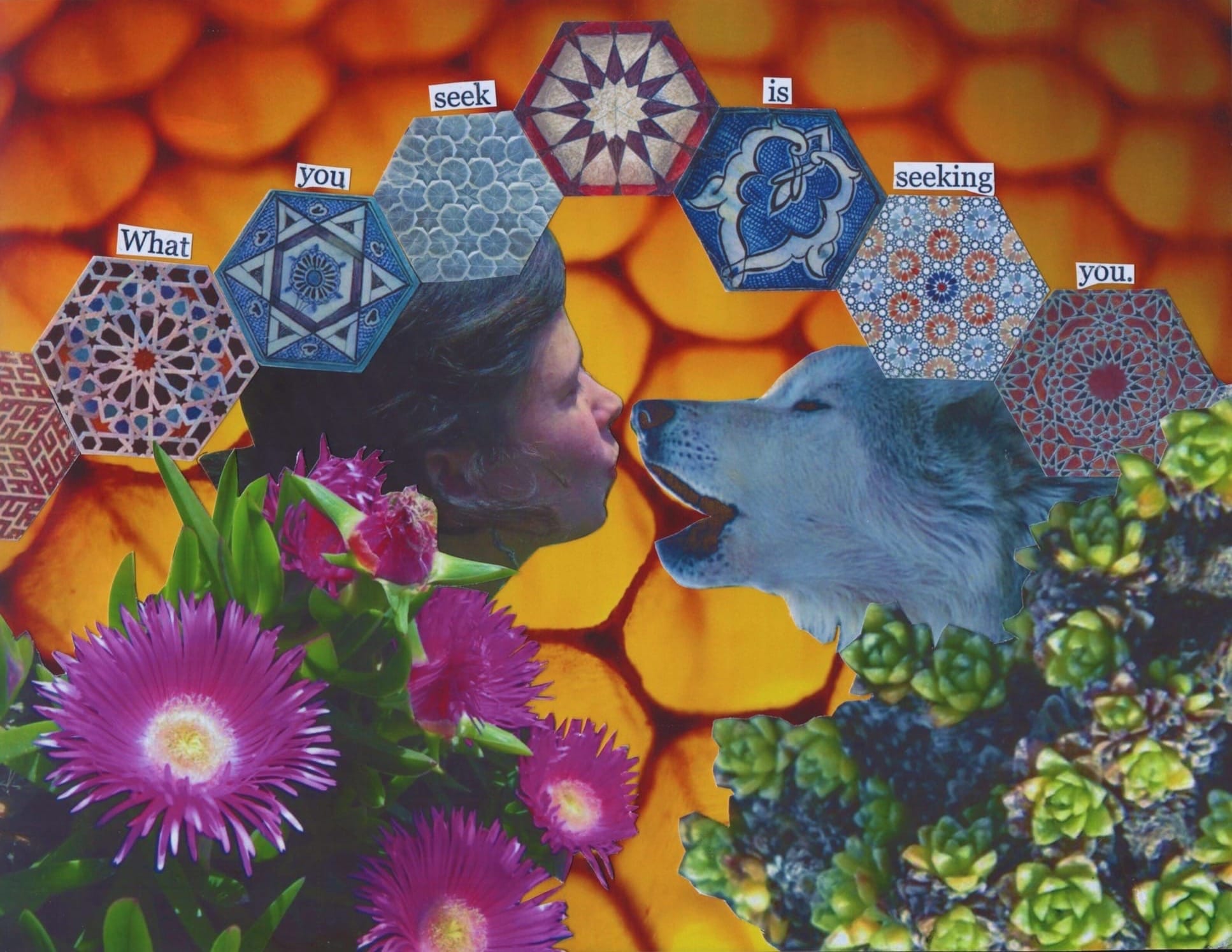 Collage of a woman and a wolf placed close together, as if singing together. There are spiky hot pink flowers and succulent plants over a glowing orange honeycomb background. A quote by Rumi is placed over an arch of hexagonal Islamic tiles in ornate blue, red, and white patterns: “What you seek is seeking you."