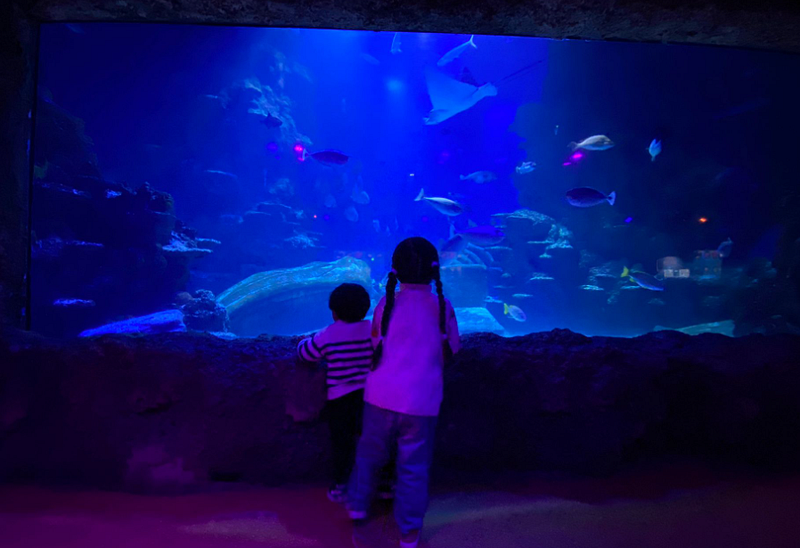 How I deal with Security 
Incidents  - PICERL