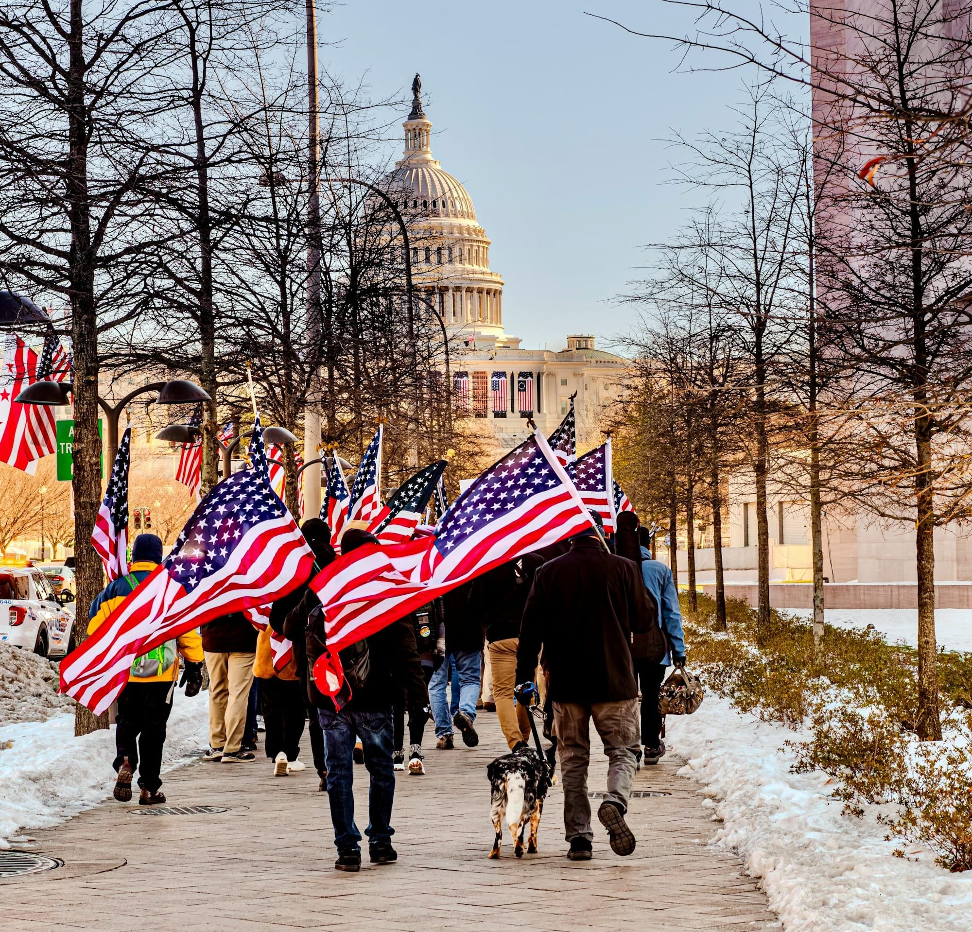 People carrying american flags near the capitol building.