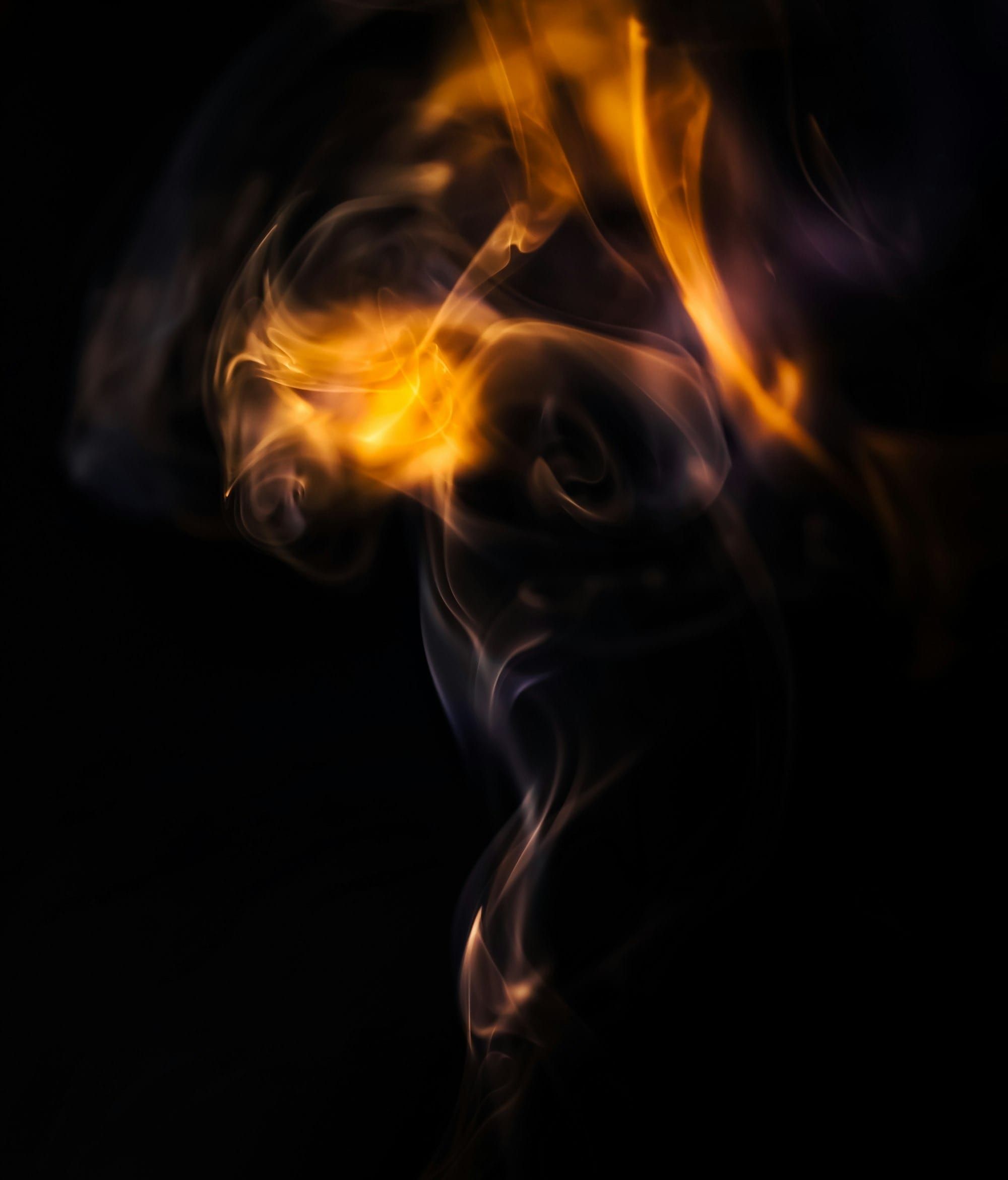 What Does the Holy Spirit Do in Salvation?