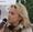 When Free Speech Becomes a Crime: Finland’s Ruling and the Future of Religious Freedom