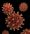 The Connection Between Fear and the Immune System