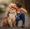 What Caring for a Pet Teaches Us About Love