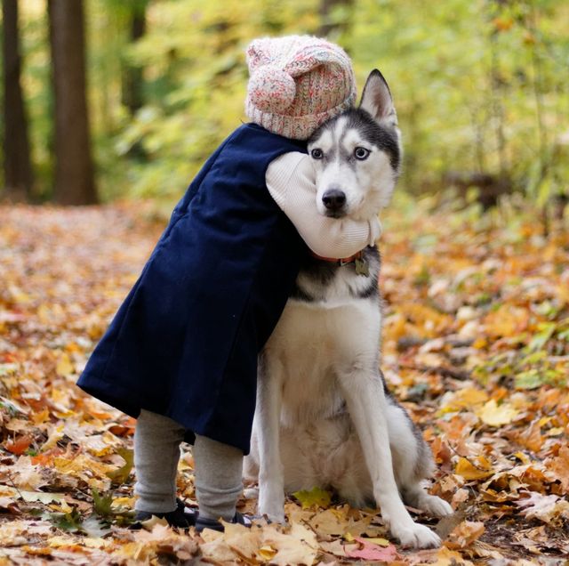 What a Beaten Dog Taught Me About Stewardship, Compassion, and the Heart of God