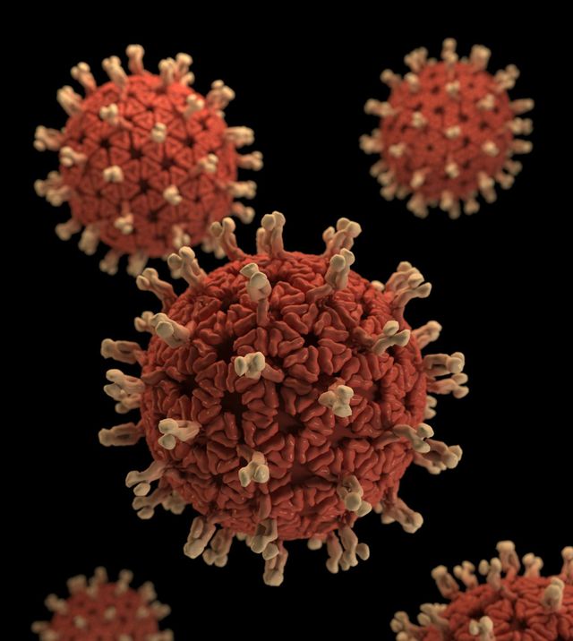 The Connection Between Fear and the Immune System