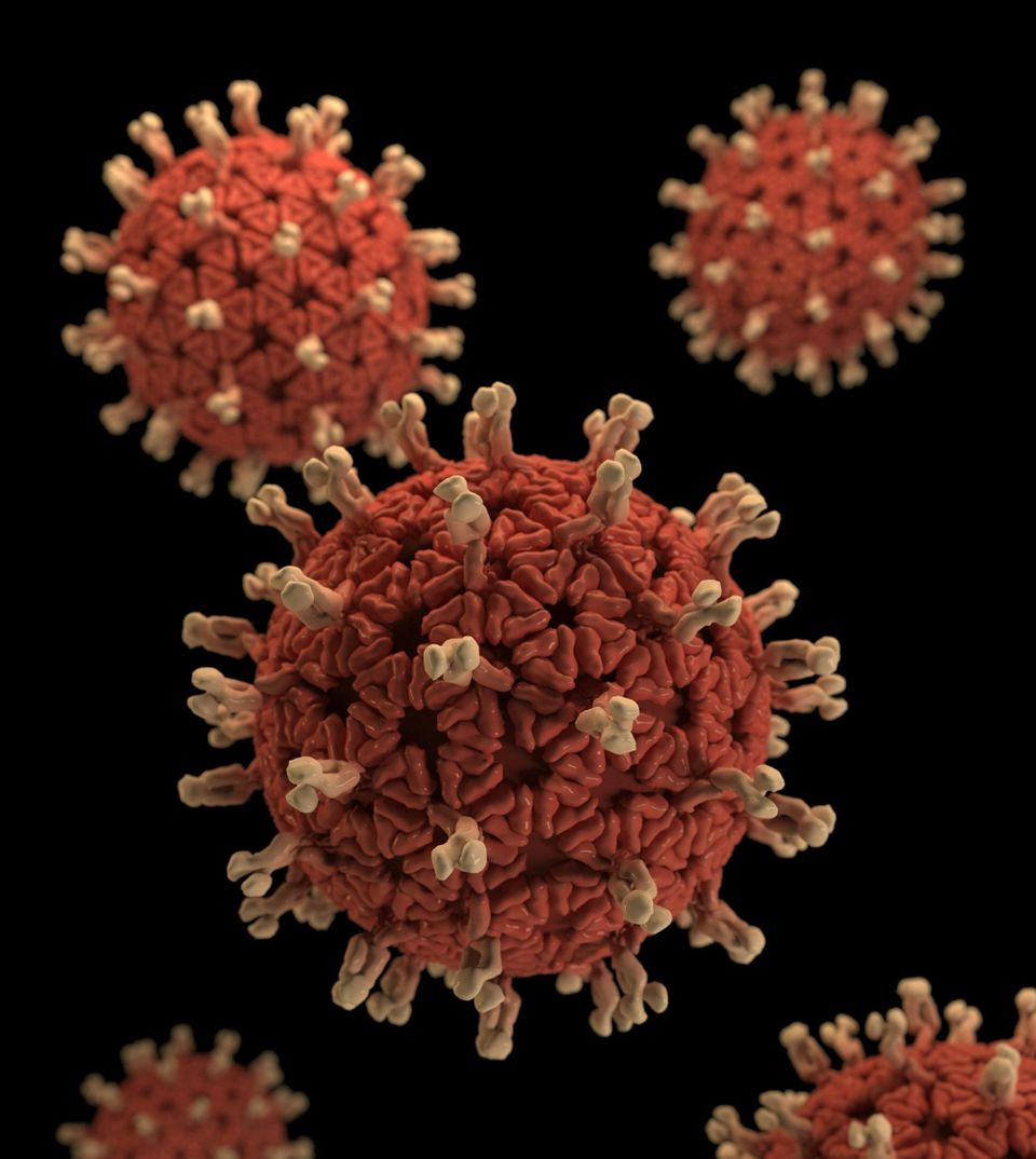 The Connection Between Fear and the Immune System