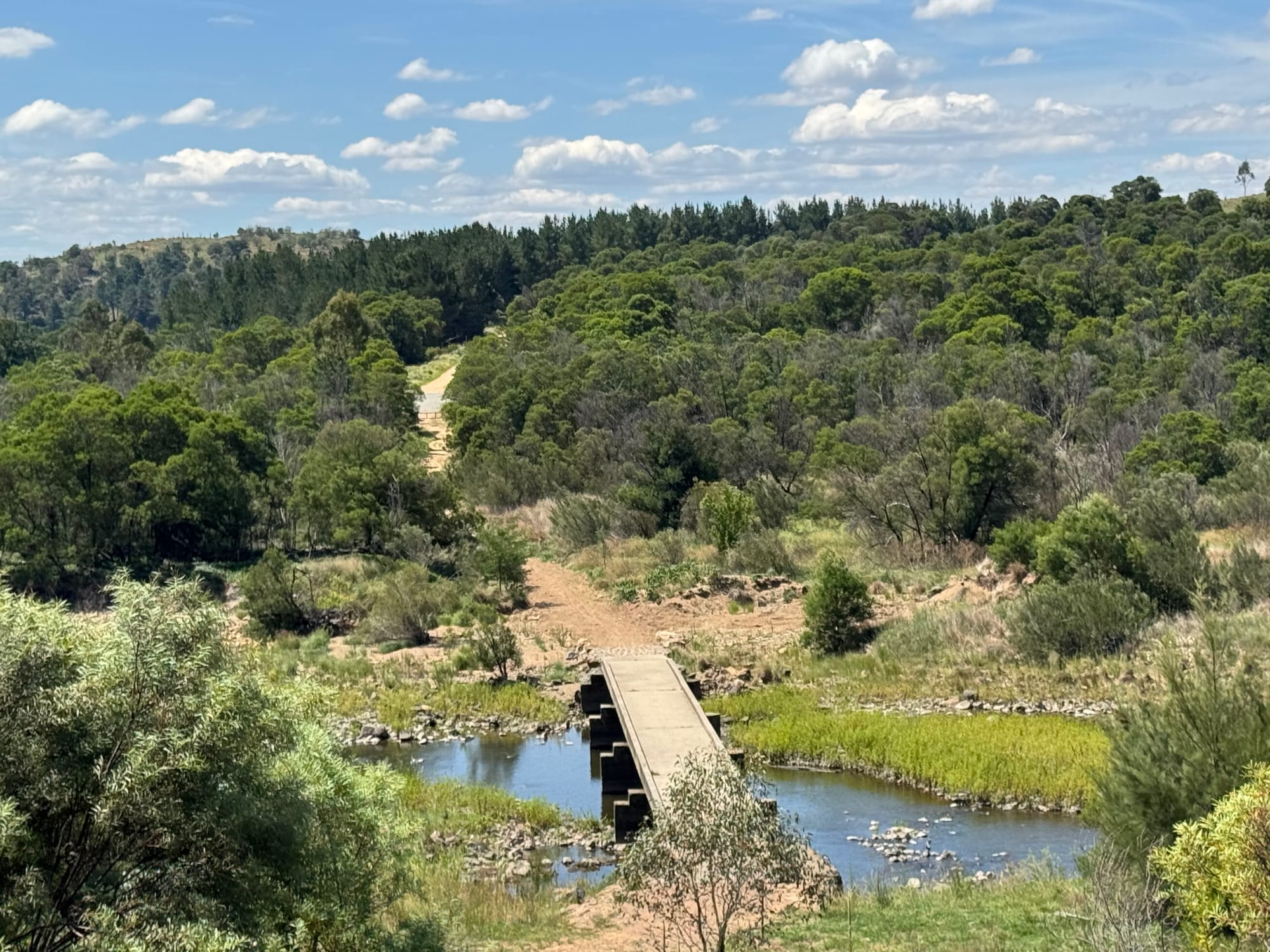 The Molonglo