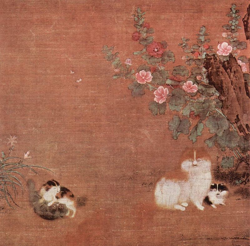 Schroder's cat