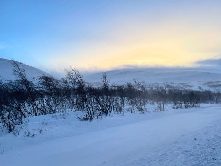 La Laponie suédoise au parc national d'Abisko