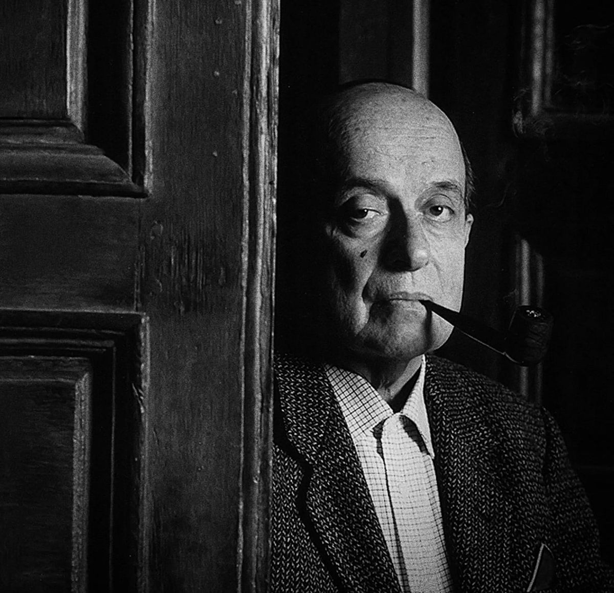 La vida dibuja un árbol - Roberto Juarroz
