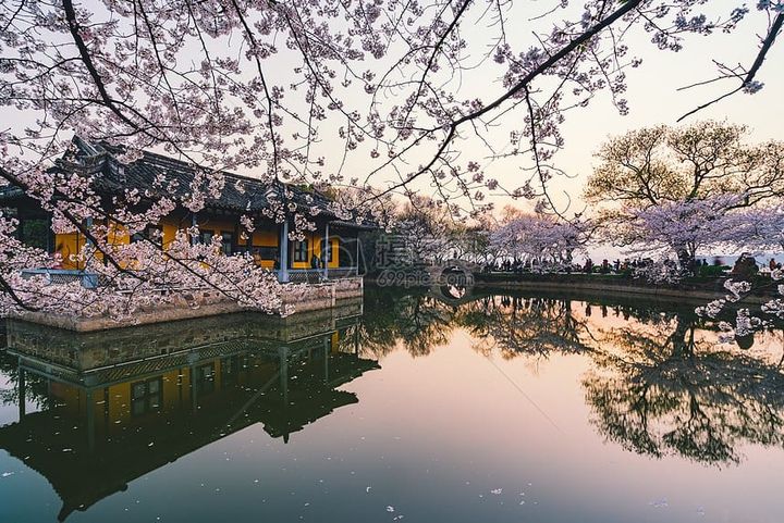 El sol ha prometido hacer el trabajo de la Lluvia – Ayi Guli / 阿依古丽