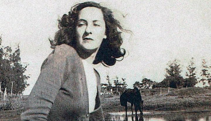Aire enemigo - Ida Vitale