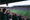 fans in stadium