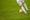 Midlands goalkeepers get international approval