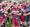 Tamworth RUFC appoint new captain via WhatsApp