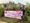 Breast cancer charity celebrate 20 years with annual bra dressing of The River statue