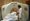 A patient undergoing an MRI