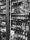 Black and white image of a fridge containing alcohol