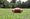 Sandwell Steelers American football club 'buzzing' ahead of new season