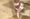 5 ways ballerinas at Birmingham Royal Ballet maintain healthy feet