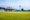Cricket: World Cup planning continues, despite Covid-19 fears