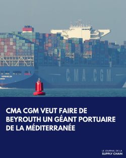 CMA CGM investit 100 millions de dollars pour doubler la capacité du port de Beyrouth à 3 millions de conteneurs par an d'ici 2028