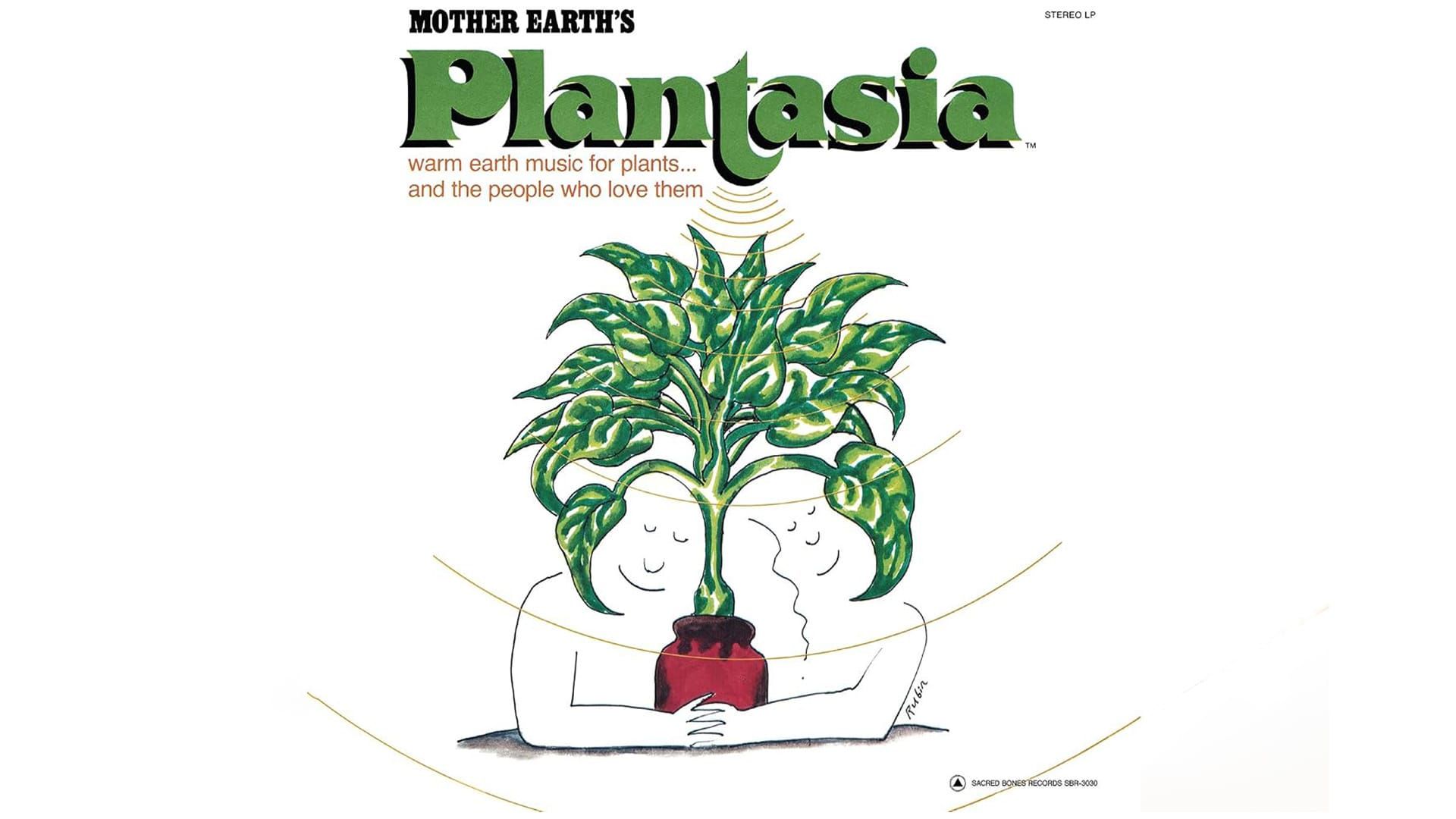 Plantasia: Um disco para plantas e clubbers completa 50 anos