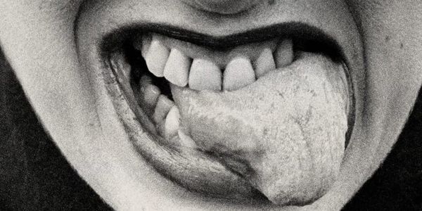 50 anos de Lenora de Barros