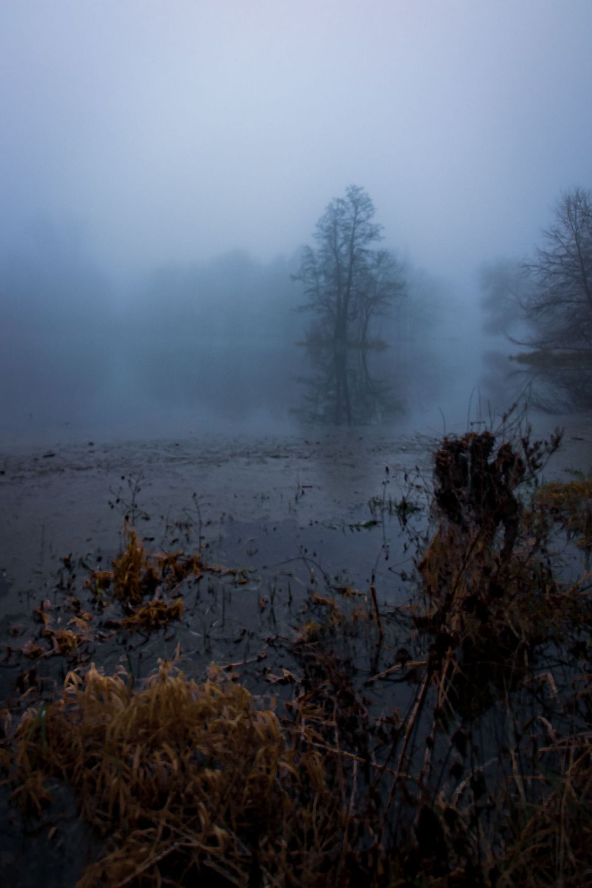 PAID/Horror Flash Fiction Call for Submissions