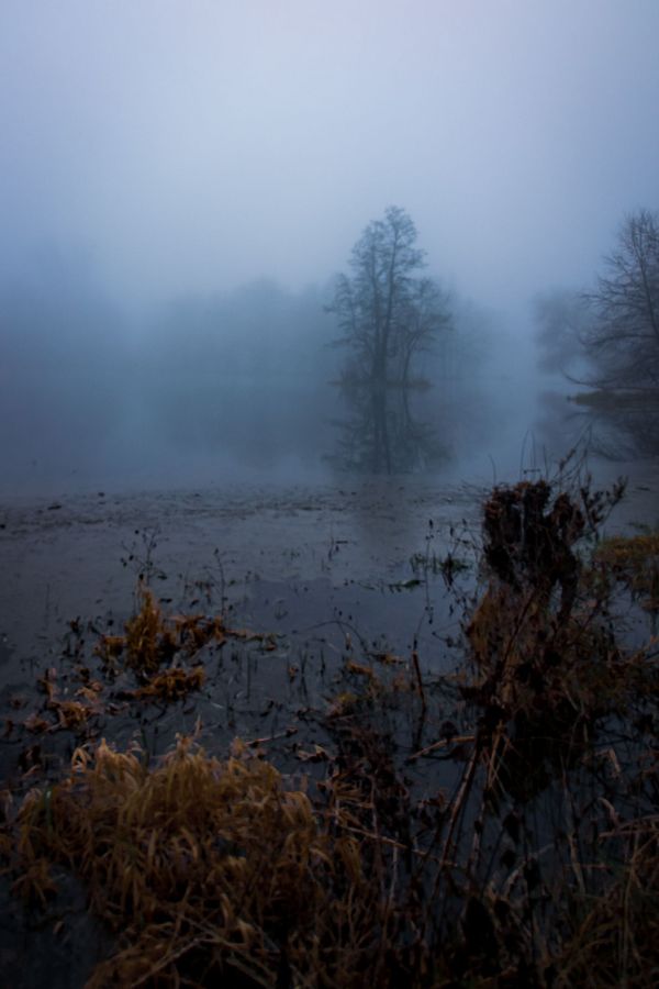 PAID/Horror Flash Fiction Call for Submissions