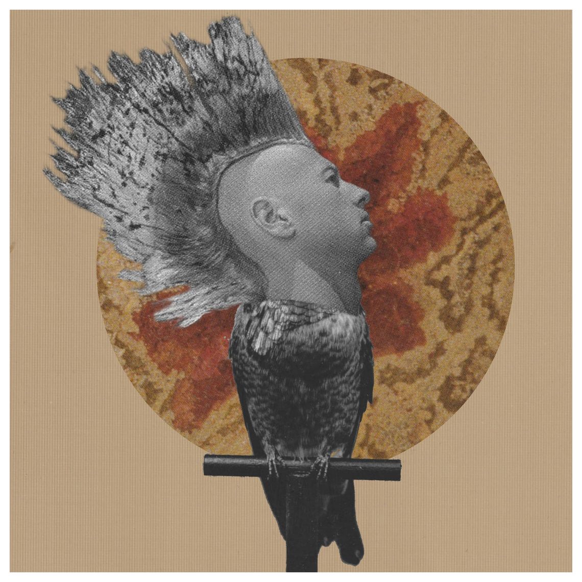 Feathers