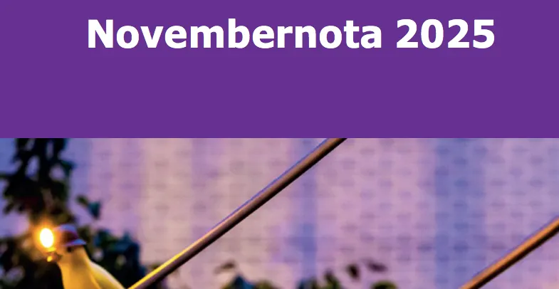 Zieke handhavers: minder verkeersboetes