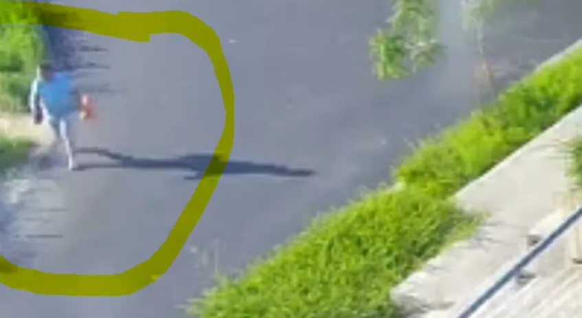 Gemeente publiceert foto man na vernieling kunstwerk