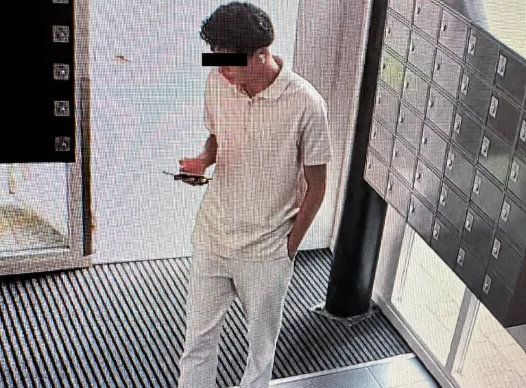 Politie zoekt nepagenten die toesloegen bij vrouw (87)