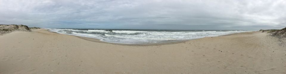 Back to life, back to reality