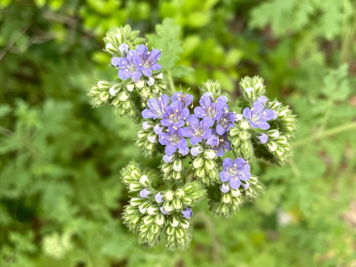 I Drove 3,000 Miles for This