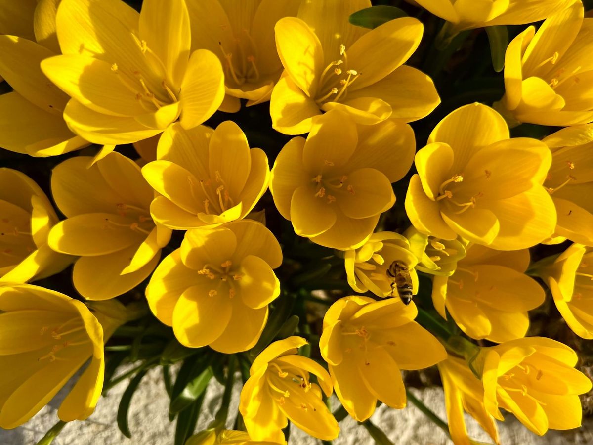 Telling the Truth About Time