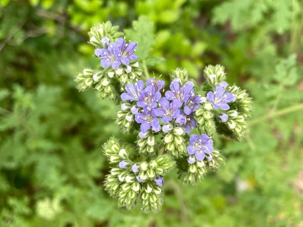 I Drove 3,000 Miles for This