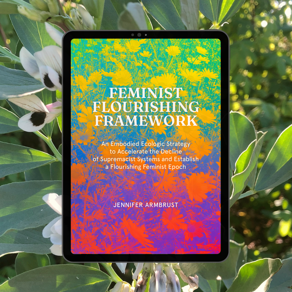 Announcing... the Feminist Flourishing Framework ebook