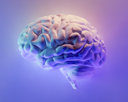 ChatGPT versus Neuroanatomy: Leveraging AI to Simply the Complex