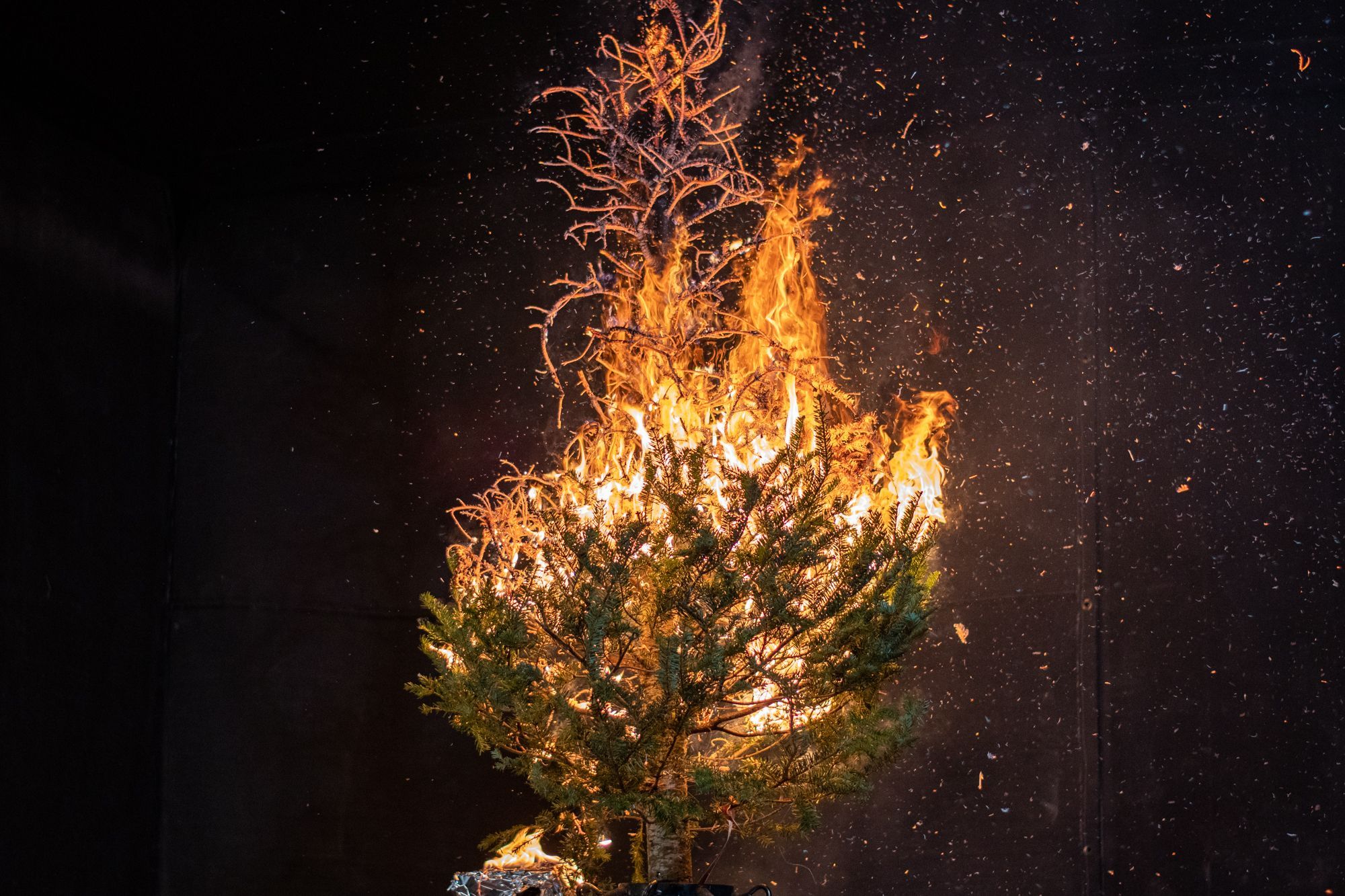 #029 When You Should Give Up - The Christmas Tree Effect