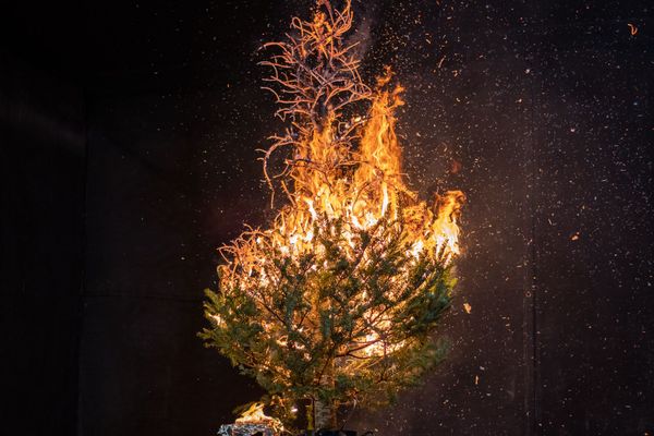 #029 When You Should Give Up - The Christmas Tree Effect