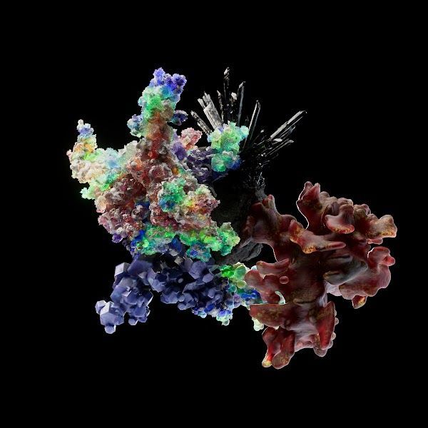 Dynamic NFTs – Smart Contracts that Change Your NFT