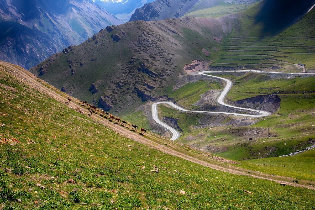 Кыргызстанда транспорттук туңгуюктан этап-этабы менен чыгууга бардык мүмкүнчүлүктөр бар – Арзыбек Кожошев