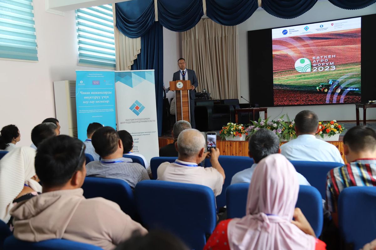 Чек ара чырларынан кийин ишкерлер дагы деле кооптонуп турушат — Баткен ЖИА