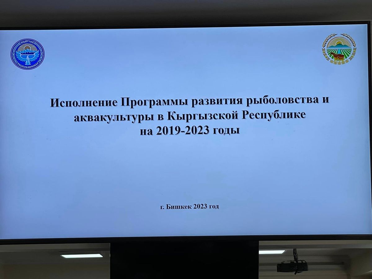 Кыргызстанда балык чарбасын өнүктүрүү стратегиясы талкууланды