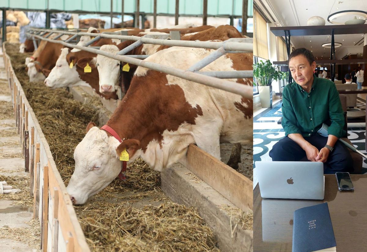 Мал чарбачылыгы да туура технологияны талап кылат — ишкер Азамат Маданбеков