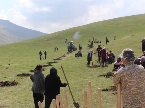 Донорлордун жардамы менен 60 миңден ашуун бак-дарактарды отургузуу долбоору башталды