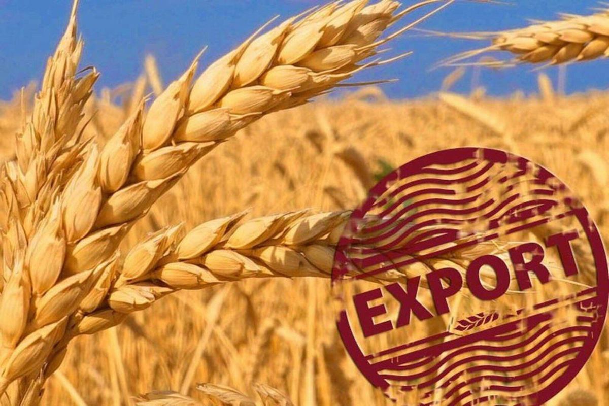 Бир жумалда 9.8 миң тонна айыл чарба продукциясы экспорттолду